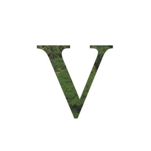 FIVE Holdings (SKAI Holdings)