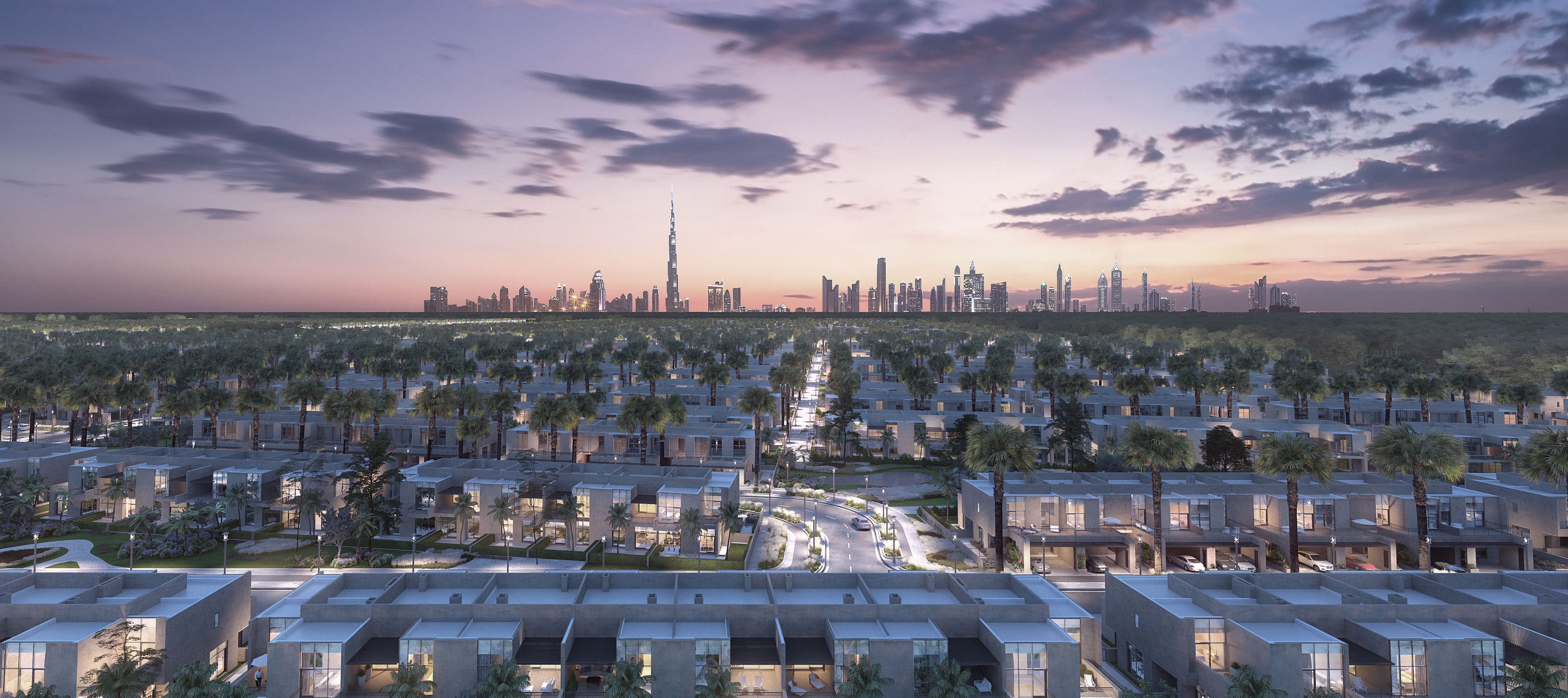 Senses on the Fields by G&CO