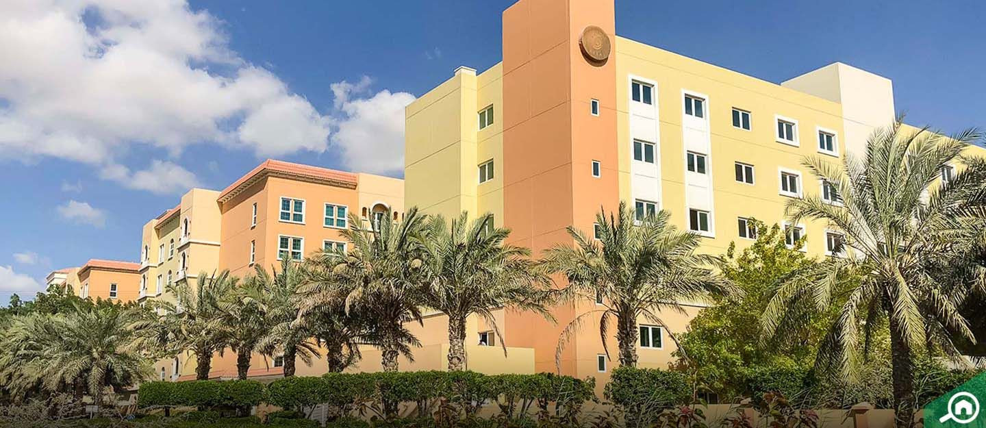 Ritaj in Dubai — Out Of Stock